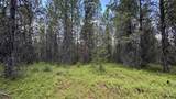 Parcel 19 Band Mill Loop Rd - Photo 46