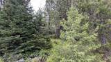 Parcel 19 Band Mill Loop Rd - Photo 50
