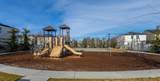 2212 Ringneck St - Photo 25