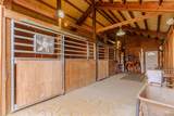1733 Alder - Photo 42
