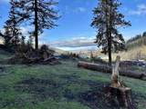 2685 Lukes Gulch Road - Photo 9