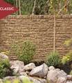 Lot 1 Block 4 - 843 Coral - Photo 10