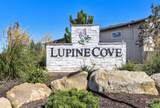 6242 Stavros Drive - Photo 1