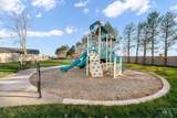 6242 Stavros Drive - Photo 6