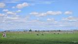 836 Hwy 26 - Photo 35