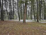 367 Crestview Drive - Photo 48