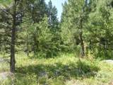 1625 Lakeridge Drive - Photo 4