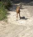 TBD Snively Gulch Rd - Photo 20