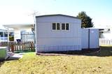 1715 Flamingo Ave Trlr13 - Photo 19