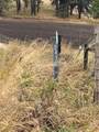 2439 Albers Rd - Photo 6