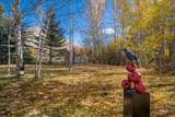 35 Greenhorn - Photo 29