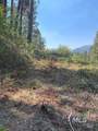 TBD Gooseberry Creek Ln - Photo 17