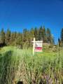 TBD Gooseberry Creek Ln - Photo 6