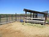 2015 Cow Creek Rd. - Photo 11