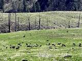 255 ac Fall Creek Rd - Photo 4
