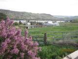 1015 Post Ln - Photo 13