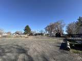 244 Locust St - Photo 4