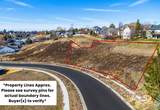 2106 & 2124 West View Drive (Lots 9 & 10) - Photo 2