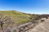 16368 Brunello Ct - Photo 41