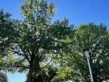509 Watercress - Photo 16
