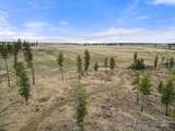2326 Reubens Road - Photo 20