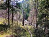 3869 Big Salmon River Rd - Photo 21