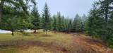 229 Henderson Loop Rd - Photo 36