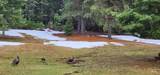 229 Henderson Loop Rd - Photo 39