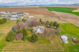 2134 Hemlock Ave - Photo 48