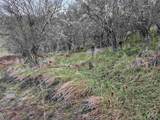 TBD Elk Hill St. Lot # 3 - Photo 23