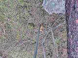 TBD Elk Hill St. Lot # 3 - Photo 7