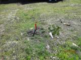 .14Ac 15th Ave S - Photo 15