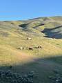 5934 Payette River Scenic Byway - Photo 18
