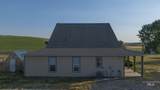 1005 Viola Ln - Photo 38