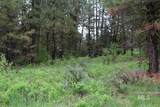9 Kayla Way - Photo 10