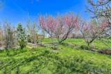 16753 Oasis Rd - Photo 42