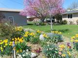 1032 Lucky Lane - Photo 27