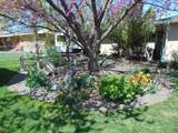 1032 Lucky Lane - Photo 29