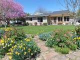 1032 Lucky Lane - Photo 3