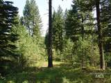 105 Poplar Lane - Photo 4