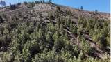 TBD W. Corral Flat Rd Lot 27 - Photo 9