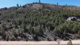 TBD W. Corral Flat Rd Lot 27 - Photo 10
