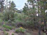 TBD Strawberry Loop - Photo 20