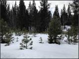 Lot 62 Mores Creek Dr - Photo 11