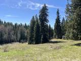 936 Red Fir - Photo 13
