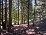 936 Red Fir - Photo 8