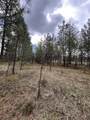 TBD Hwy 3 - Photo 11