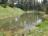 3460 American River Rd - Photo 42