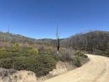 TBD Lester Creek Rd - Photo 7