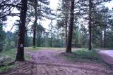 Lot 12 Payette River Ranch - Photo 3